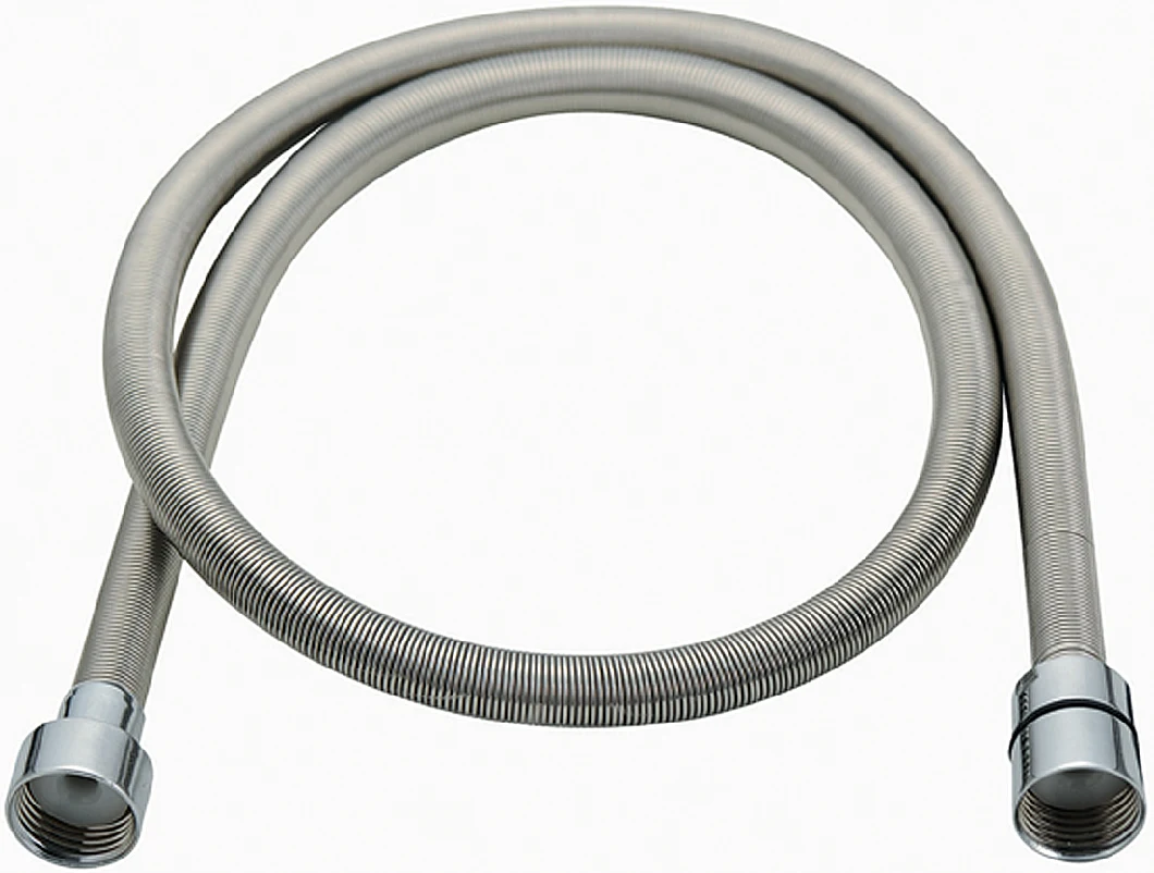 Double Lock Stainless Steel Hose Bathroom Fittings